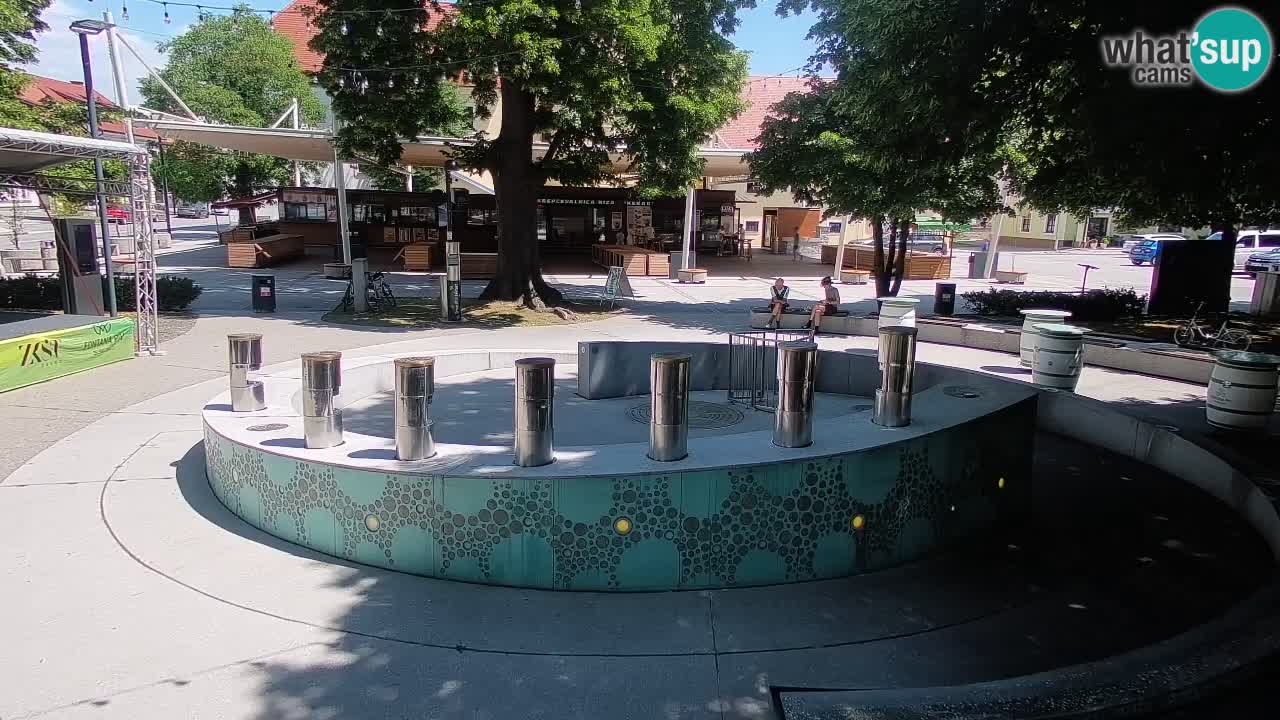 Web kamera Fontana piva – Zeleno zlato – Žalec