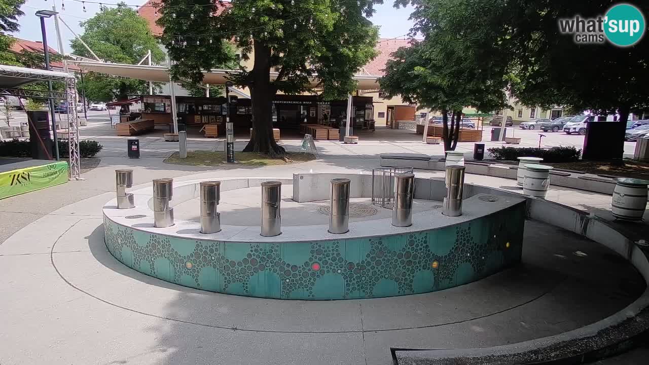 Web kamera Fontana piva – Zeleno zlato – Žalec
