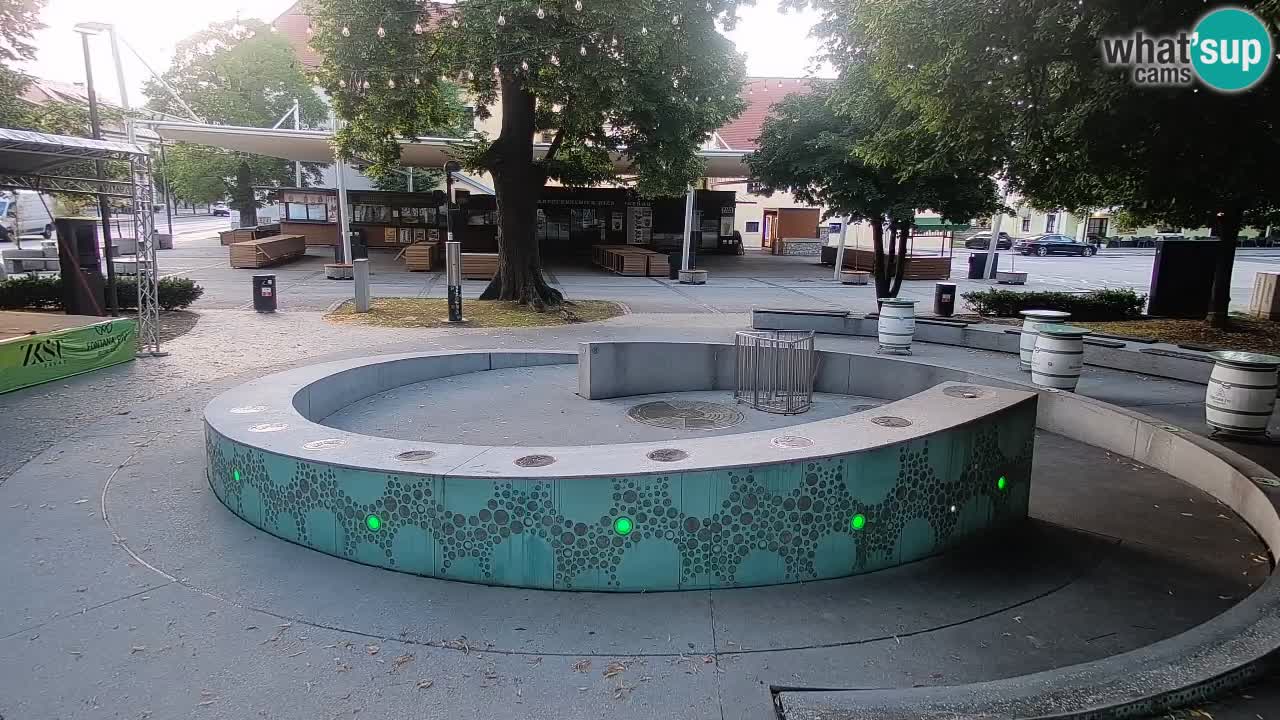 Spletna kamera Fontana Piv – Zeleno zlato Žalec