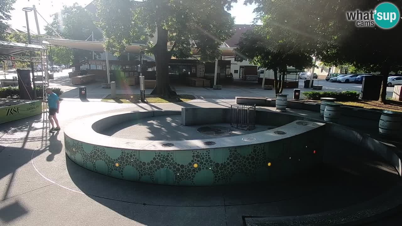 Camera en vivo Fuente de cerveza – Oro verde – Žalec