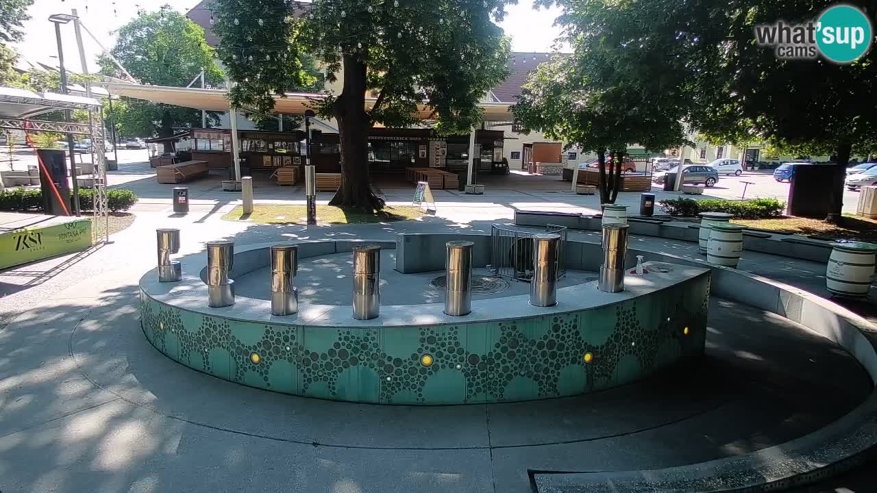 Camera en vivo Fuente de cerveza – Oro verde – Žalec