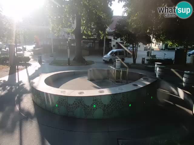 Web kamera Fontana piva – Zeleno zlato – Žalec