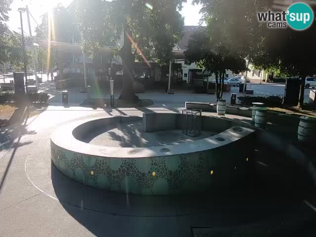 Fontaine à bière LIVE webcam – Or vert – Žalec