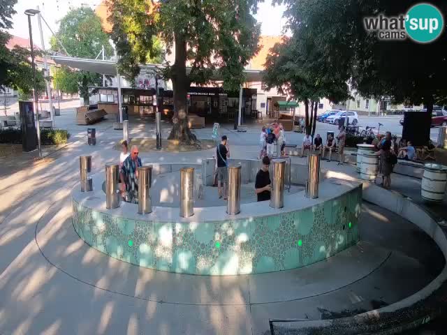Camera en vivo Fuente de cerveza – Oro verde – Žalec