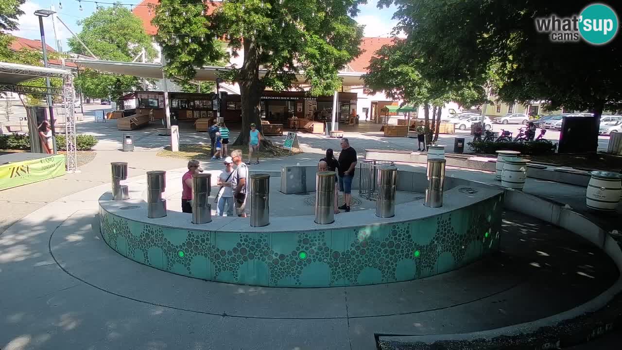 Web kamera Fontana piva – Zeleno zlato – Žalec