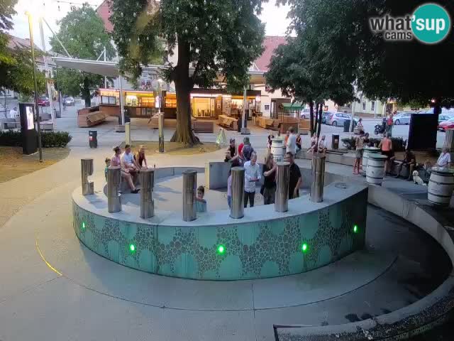 Fontana di birra Webcam – Oro verde – Žalec