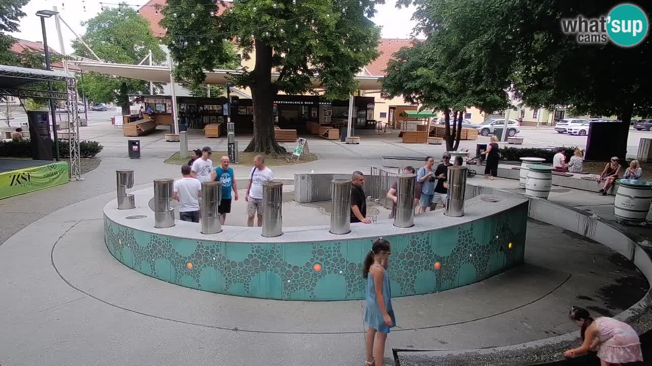 Bier-Springbrunnen Webcam Žalec – Grünen Goldes