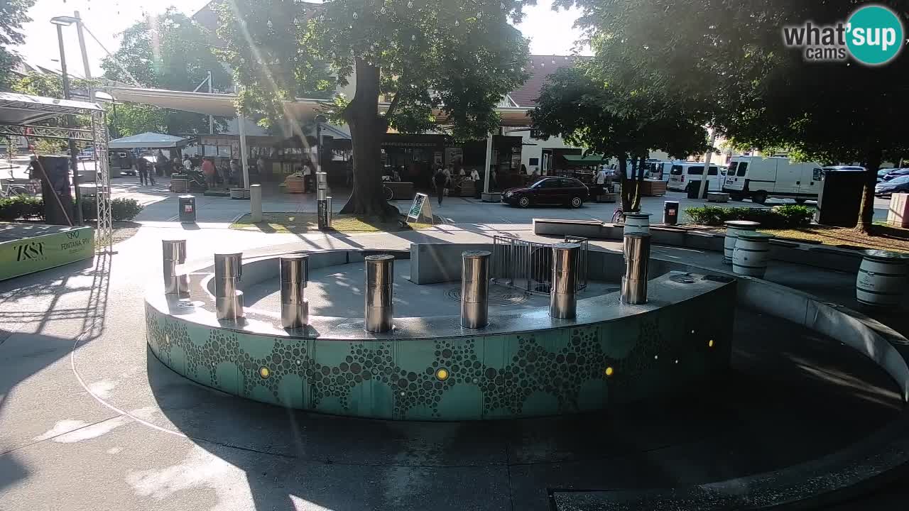 Camera en vivo Fuente de cerveza – Oro verde – Žalec