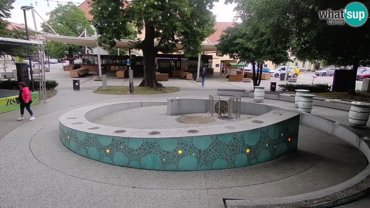 Web kamera Fontana piva – Zeleno zlato – Žalec
