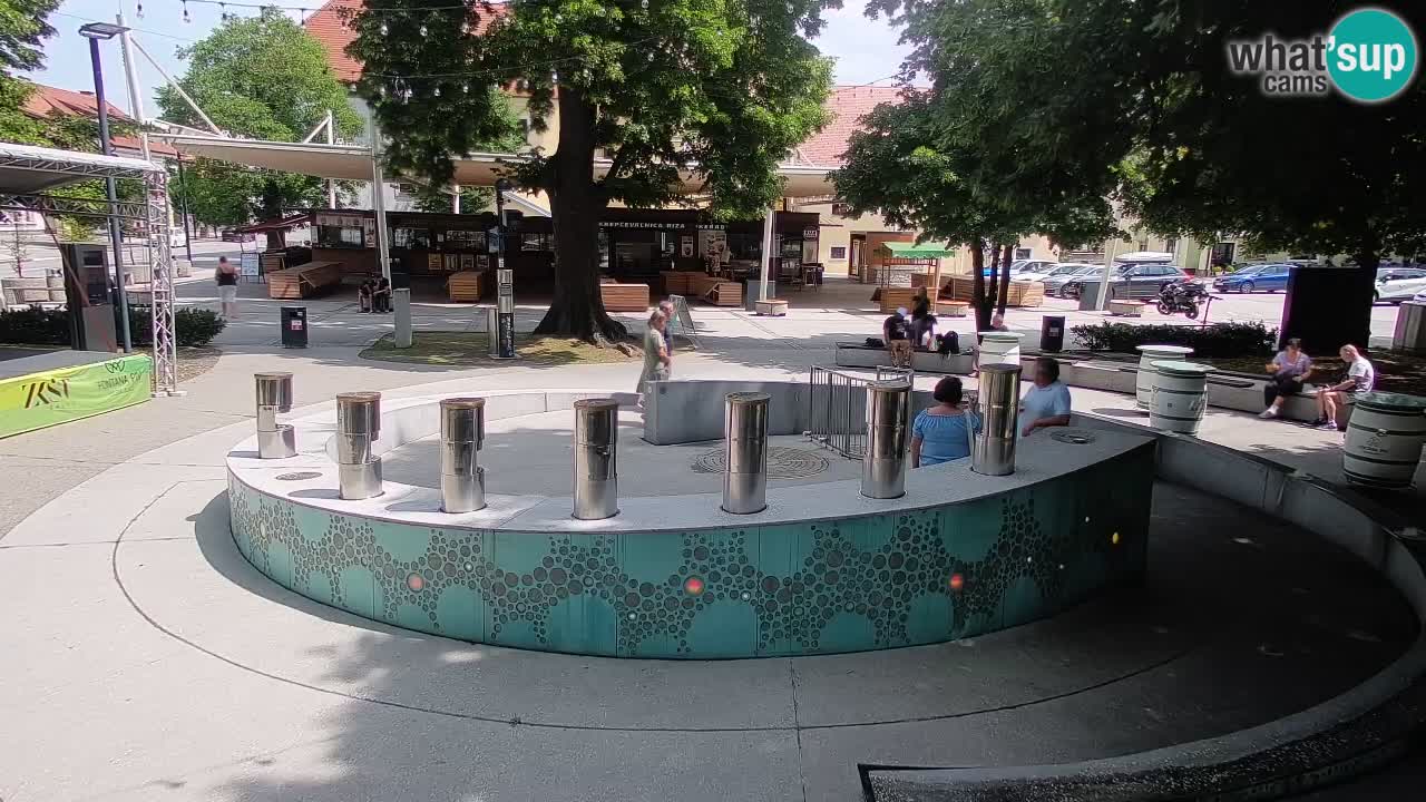 Spletna kamera Fontana Piv – Zeleno zlato Žalec