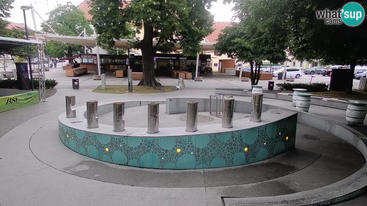 Spletna kamera Fontana Piv – Zeleno zlato Žalec