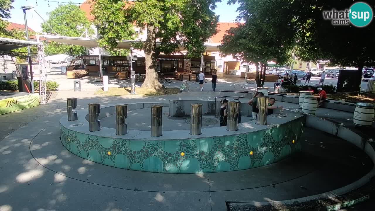 Fontana di birra Webcam – Oro verde – Žalec