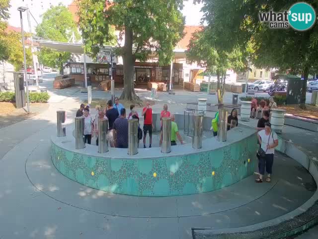 Fontana di birra Webcam – Oro verde – Žalec