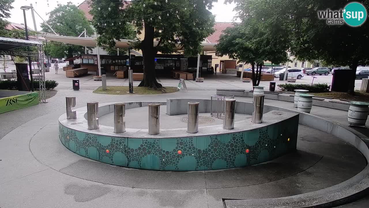 Bier-Springbrunnen Webcam Žalec – Grünen Goldes