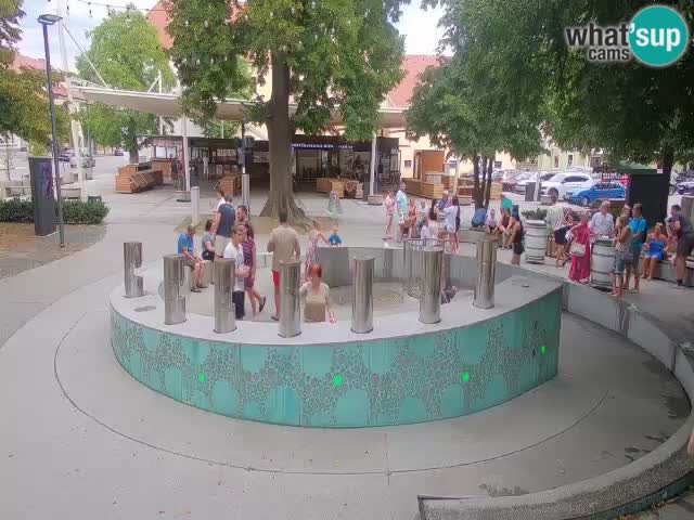 Fontaine à bière LIVE webcam – Or vert – Žalec
