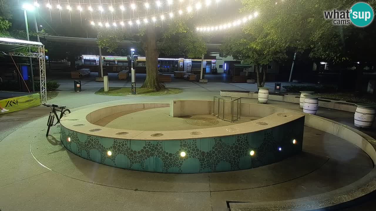 Camera en vivo Fuente de cerveza – Oro verde – Žalec
