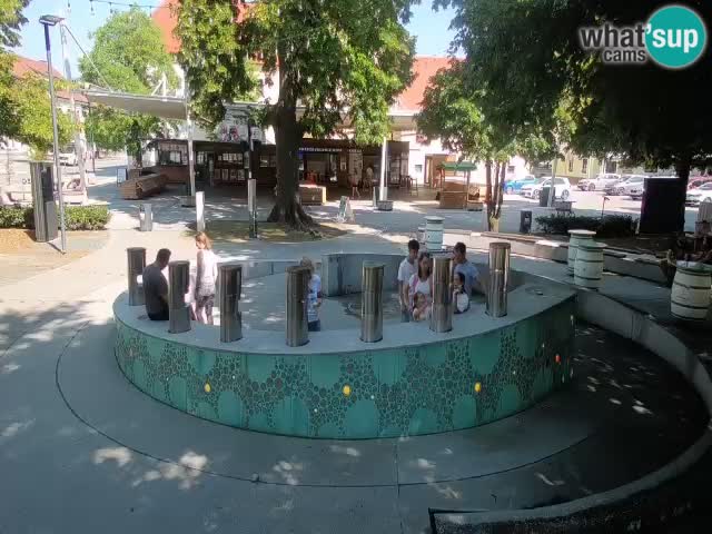 Fontaine à bière LIVE webcam – Or vert – Žalec