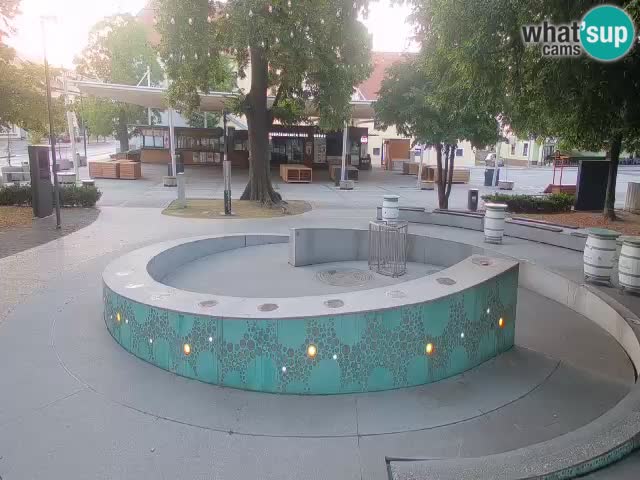 Fontana di birra Webcam – Oro verde – Žalec