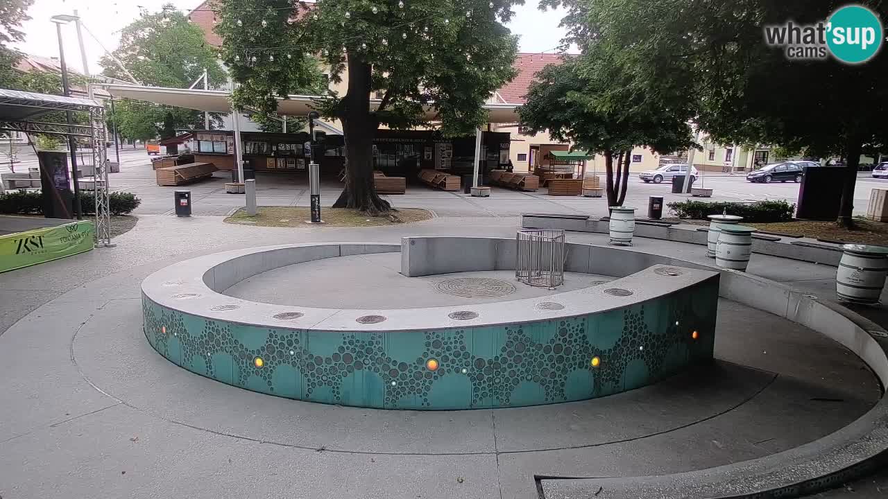 Fontana di birra Webcam – Oro verde – Žalec