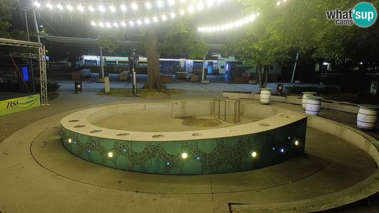 Bier-Springbrunnen Webcam Žalec – Grünen Goldes