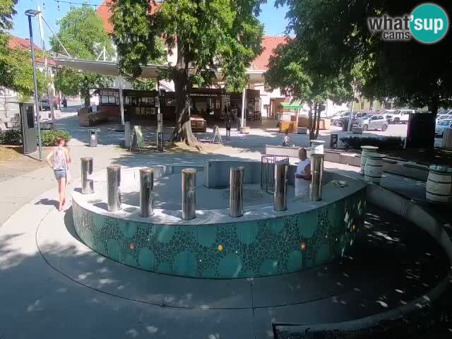 Camera en vivo Fuente de cerveza – Oro verde – Žalec