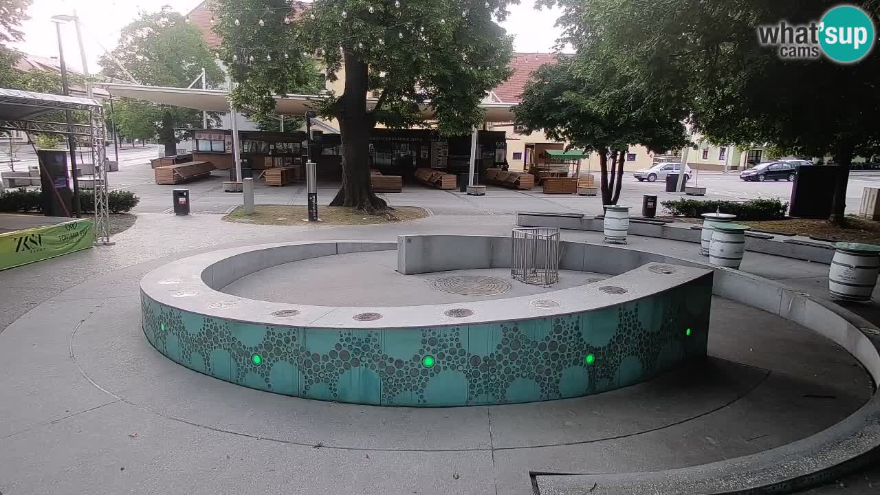 Fontaine à bière LIVE webcam – Or vert – Žalec