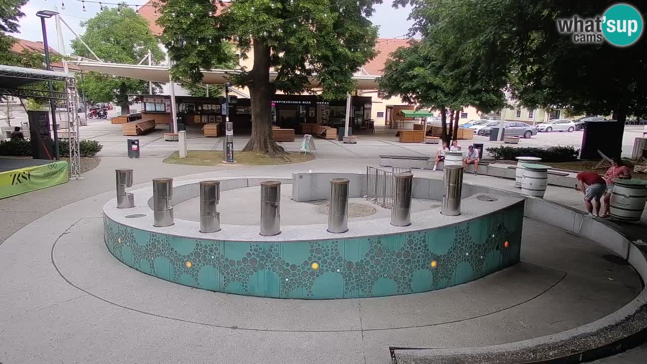 Camera en vivo Fuente de cerveza – Oro verde – Žalec