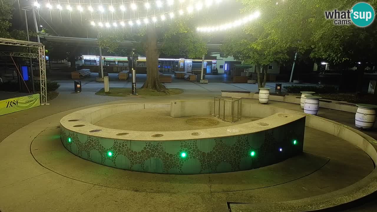 Camera en vivo Fuente de cerveza – Oro verde – Žalec