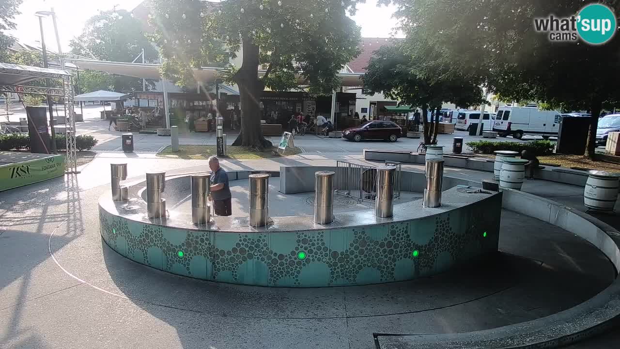 Fontaine à bière LIVE webcam – Or vert – Žalec