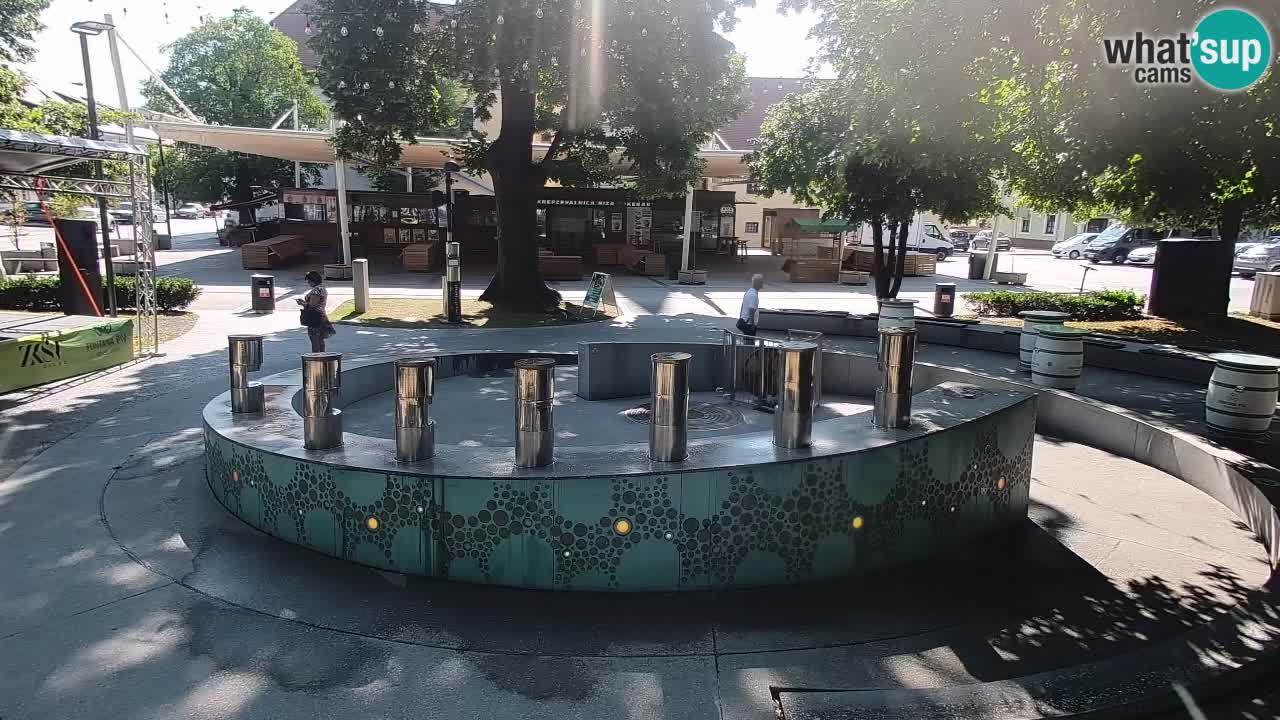 Spletna kamera Fontana Piv – Zeleno zlato Žalec