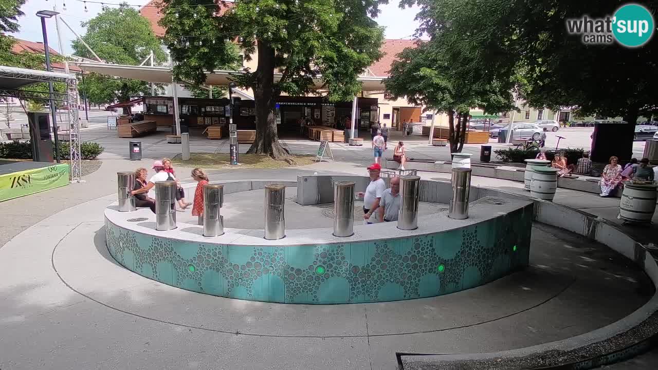 Web kamera Fontana piva – Zeleno zlato – Žalec