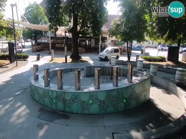 Spletna kamera Fontana Piv – Zeleno zlato Žalec