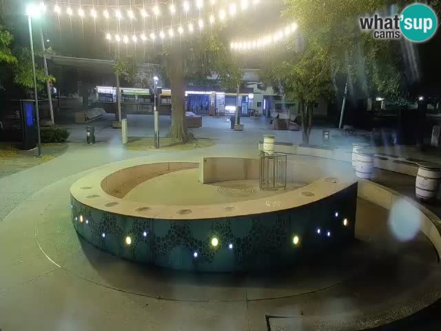 Spletna kamera Fontana Piv – Zeleno zlato Žalec