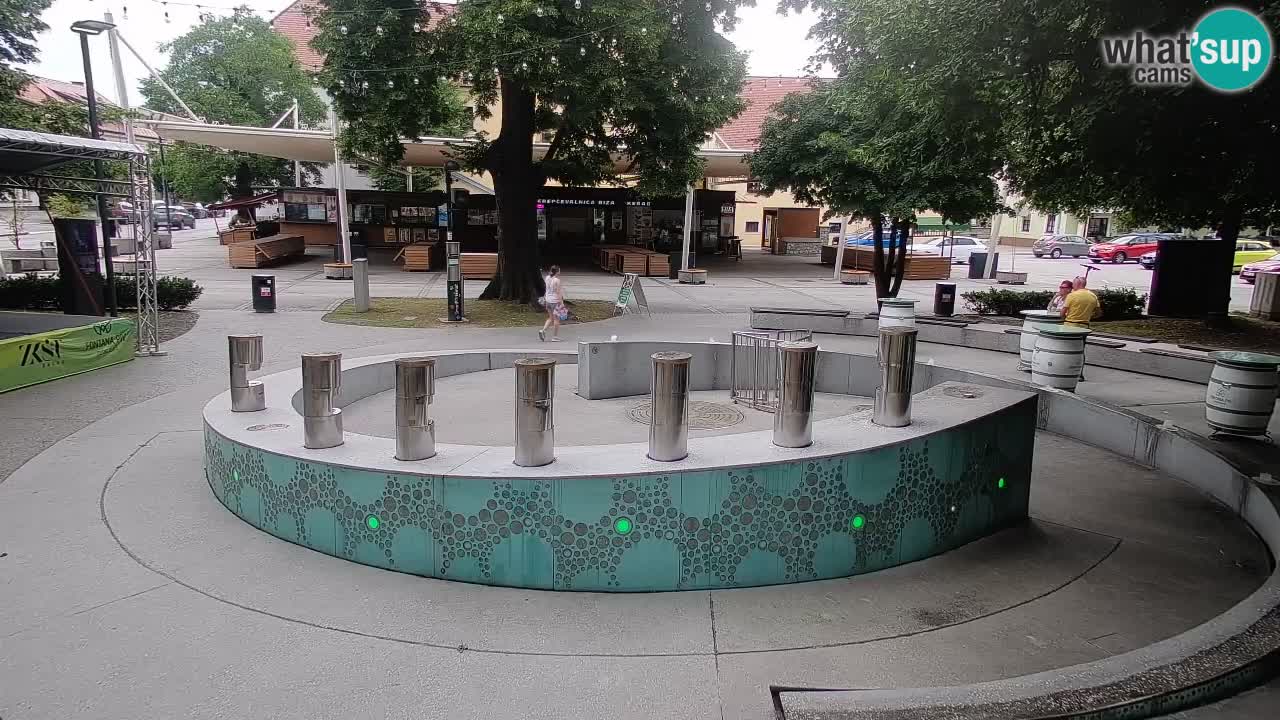 Spletna kamera Fontana Piv – Zeleno zlato Žalec