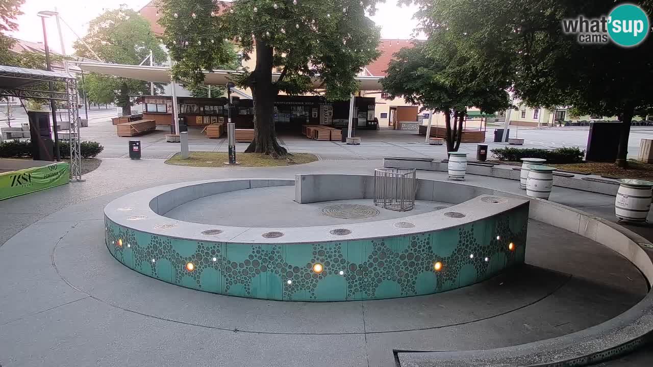 Fontana di birra Webcam – Oro verde – Žalec