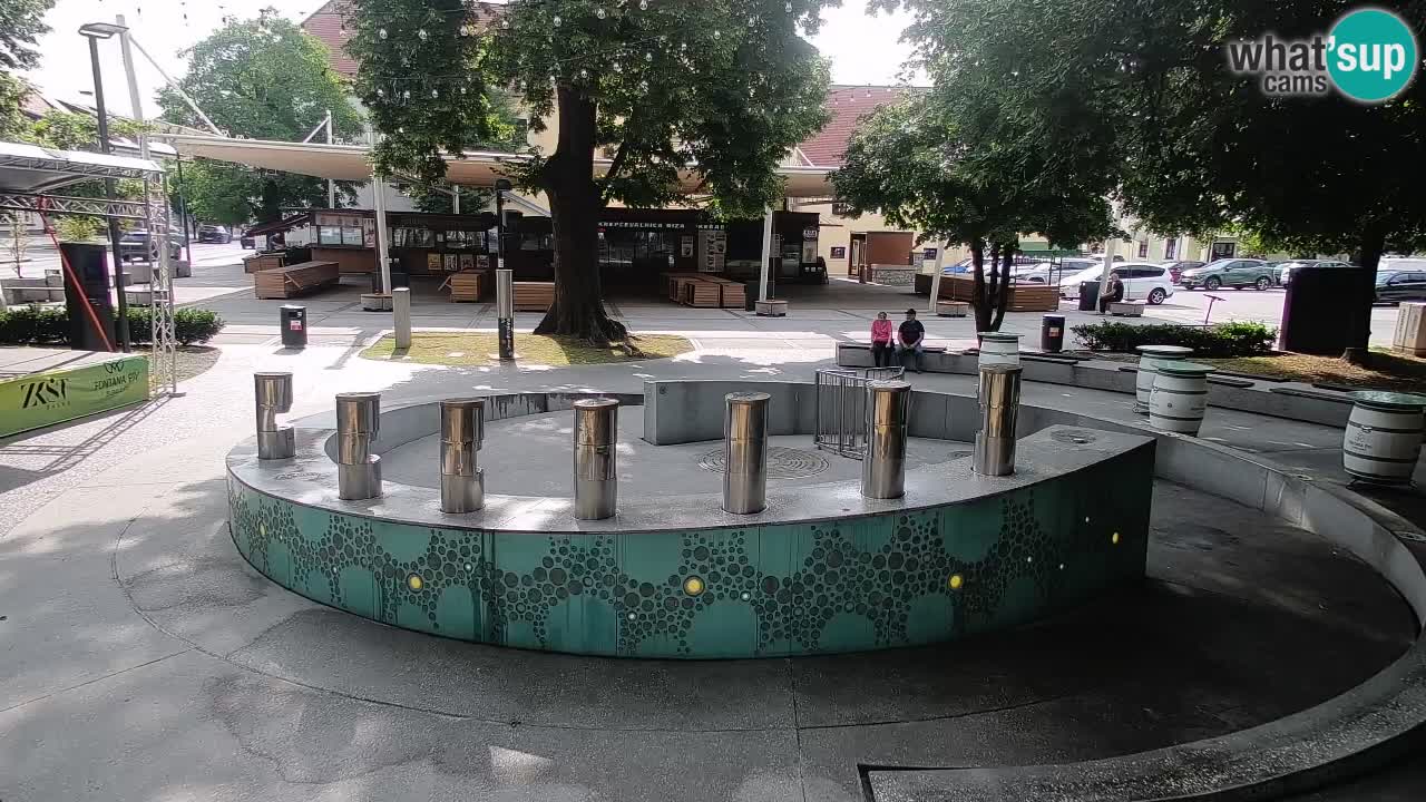 Spletna kamera Fontana Piv – Zeleno zlato Žalec