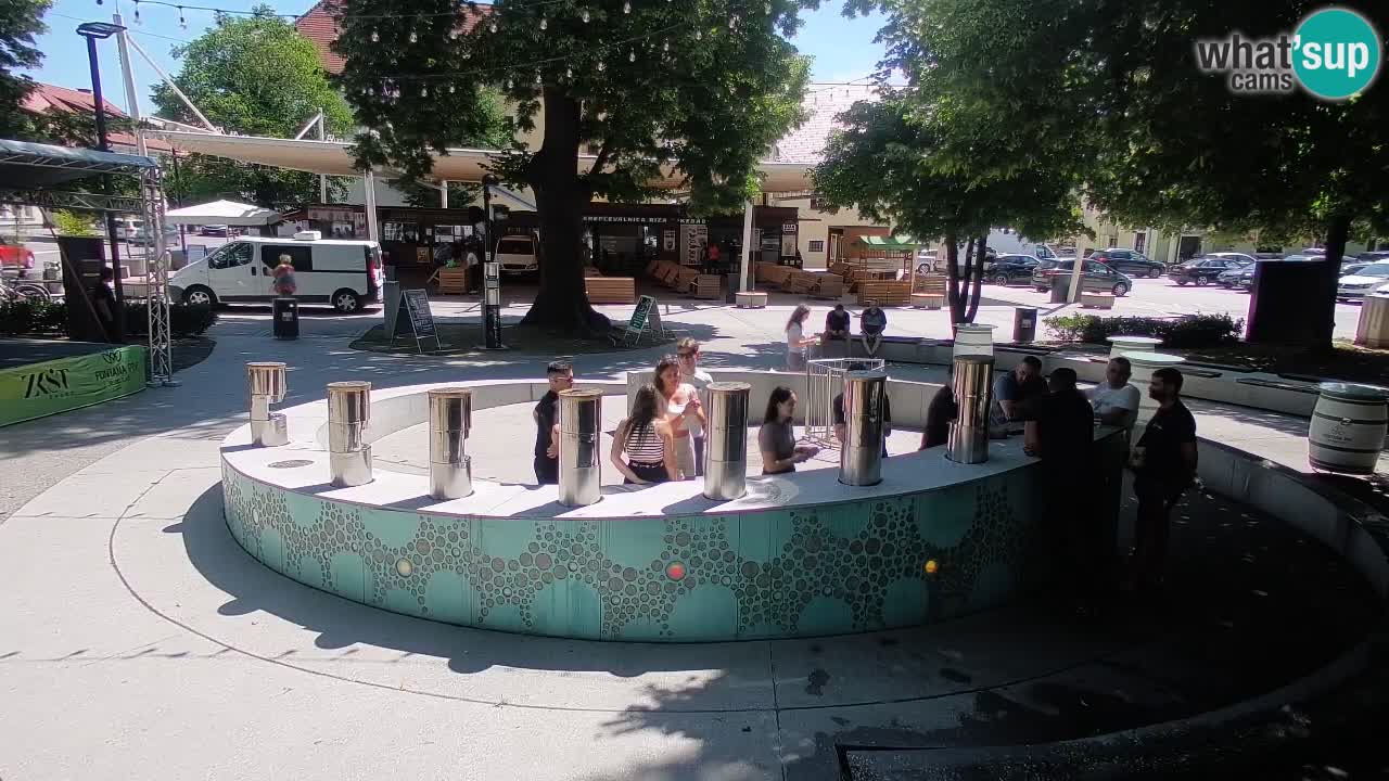 Web kamera Fontana piva – Zeleno zlato – Žalec