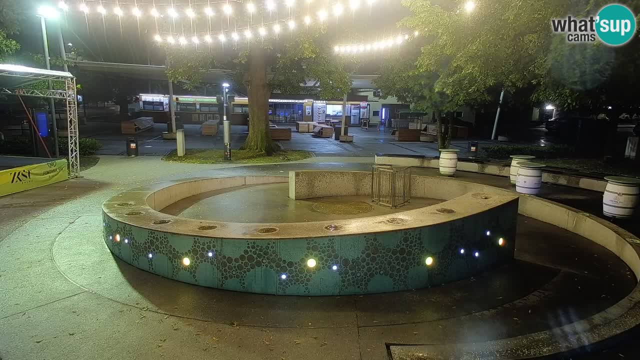Camera en vivo Fuente de cerveza – Oro verde – Žalec