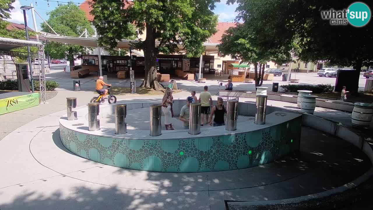 Fontana di birra Webcam – Oro verde – Žalec