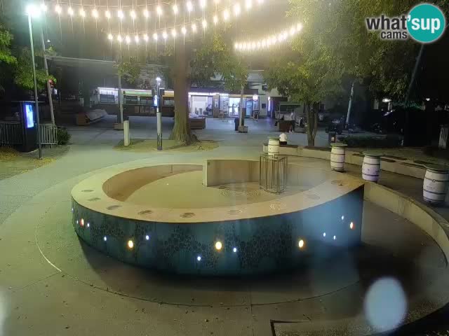 Fontaine à bière LIVE webcam – Or vert – Žalec