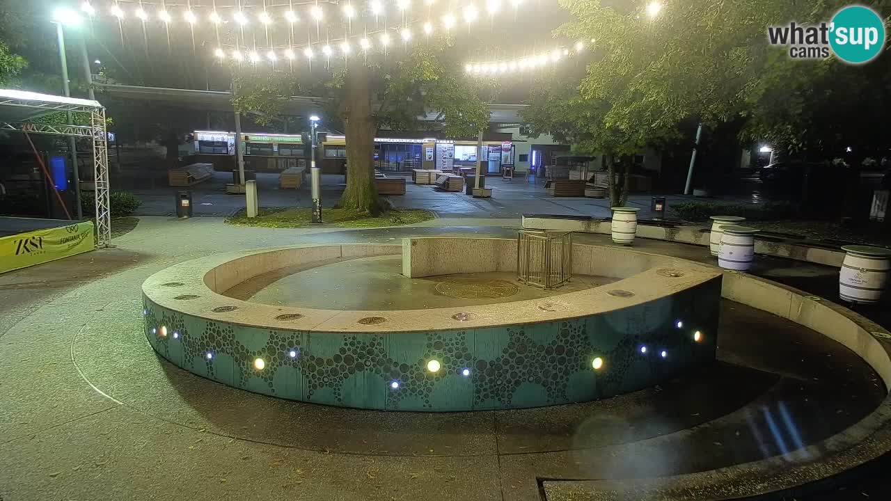 Fontaine à bière LIVE webcam – Or vert – Žalec