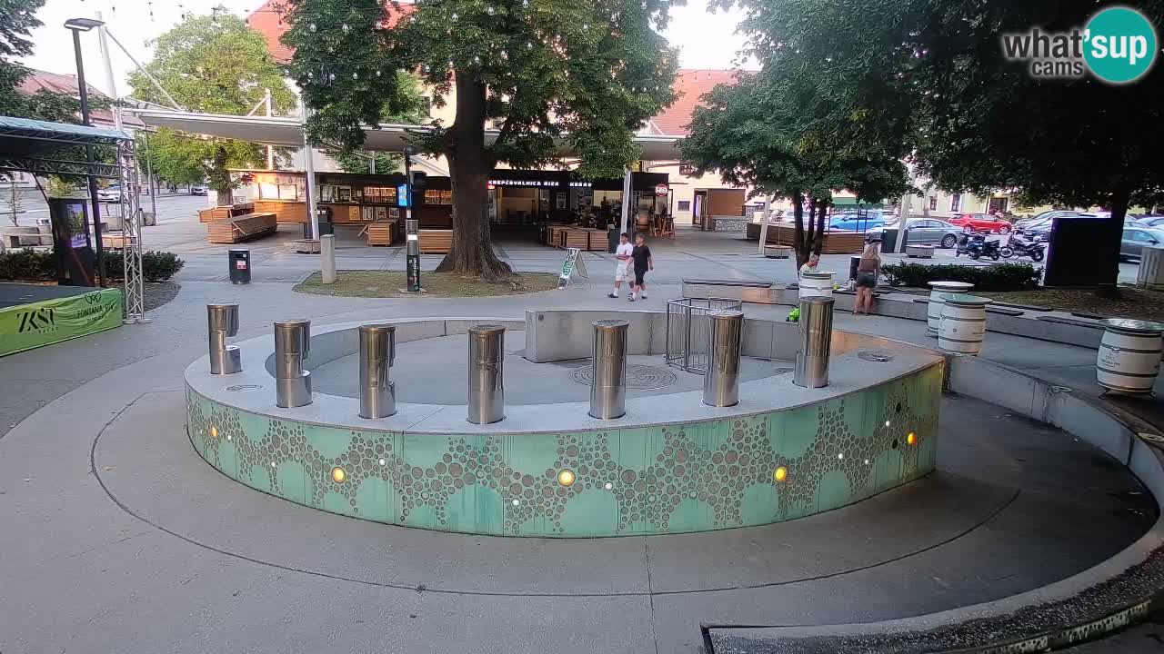 Camera en vivo Fuente de cerveza – Oro verde – Žalec