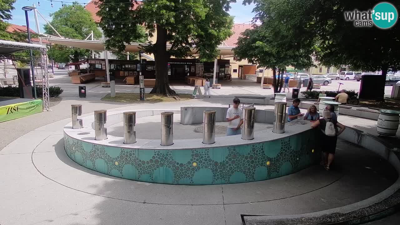 Bier-Springbrunnen Webcam Žalec – Grünen Goldes