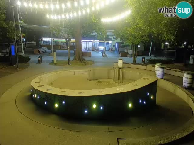 Bier-Springbrunnen Webcam Žalec – Grünen Goldes