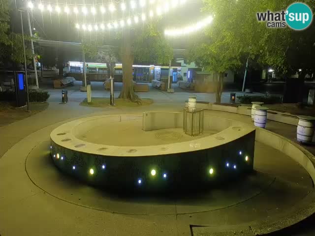 Fontana di birra Webcam – Oro verde – Žalec