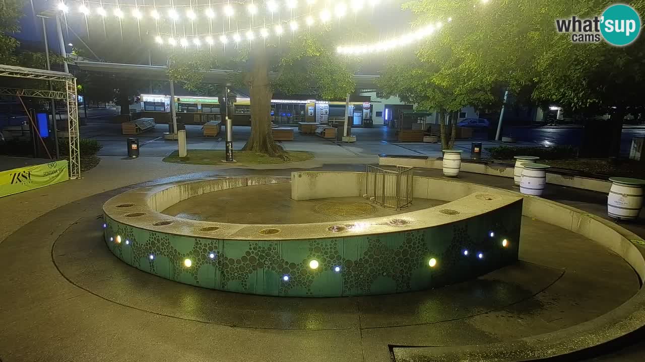 Camera en vivo Fuente de cerveza – Oro verde – Žalec