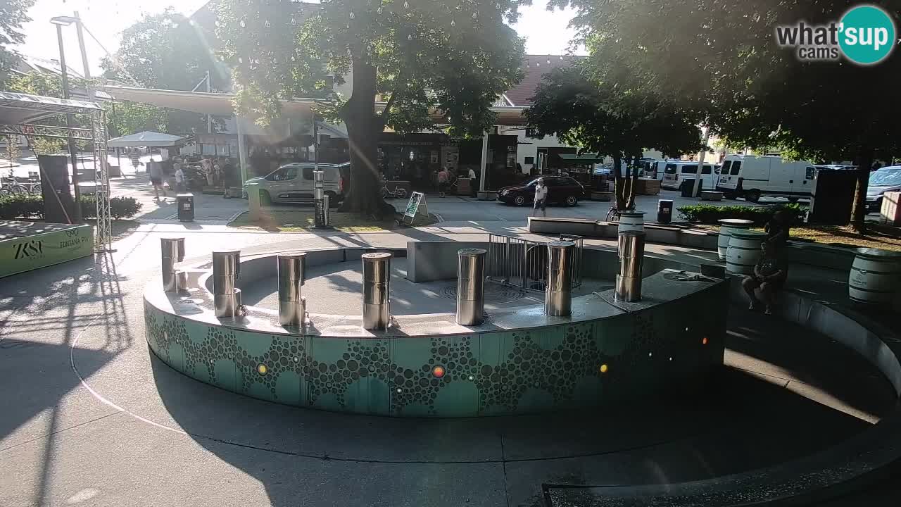 Fontana di birra Webcam – Oro verde – Žalec