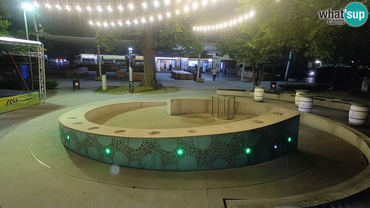 Fontana di birra Webcam – Oro verde – Žalec
