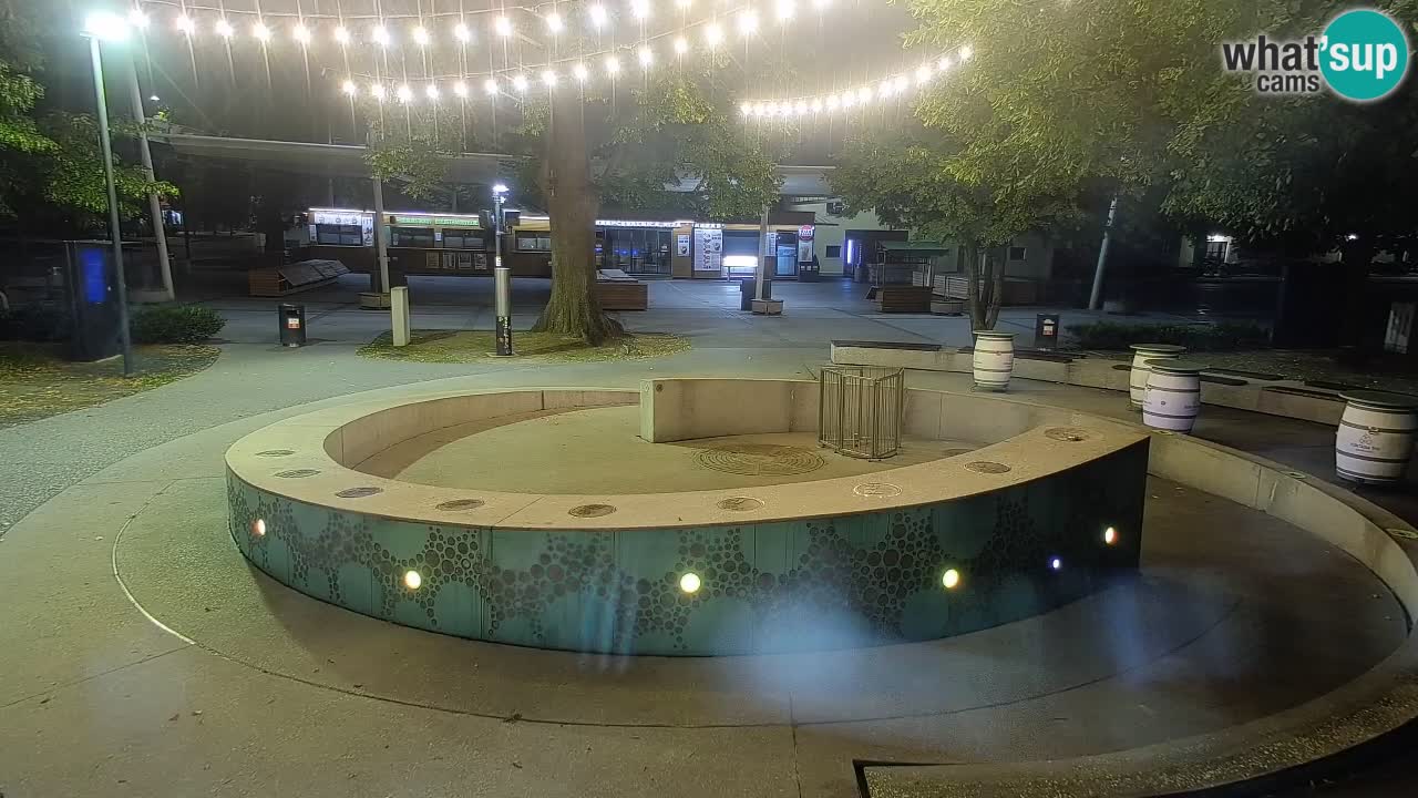 Fontana di birra Webcam – Oro verde – Žalec