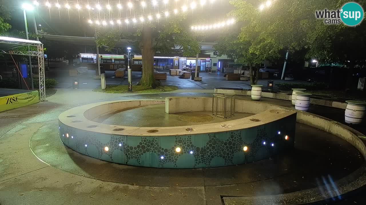 Fontaine à bière LIVE webcam – Or vert – Žalec